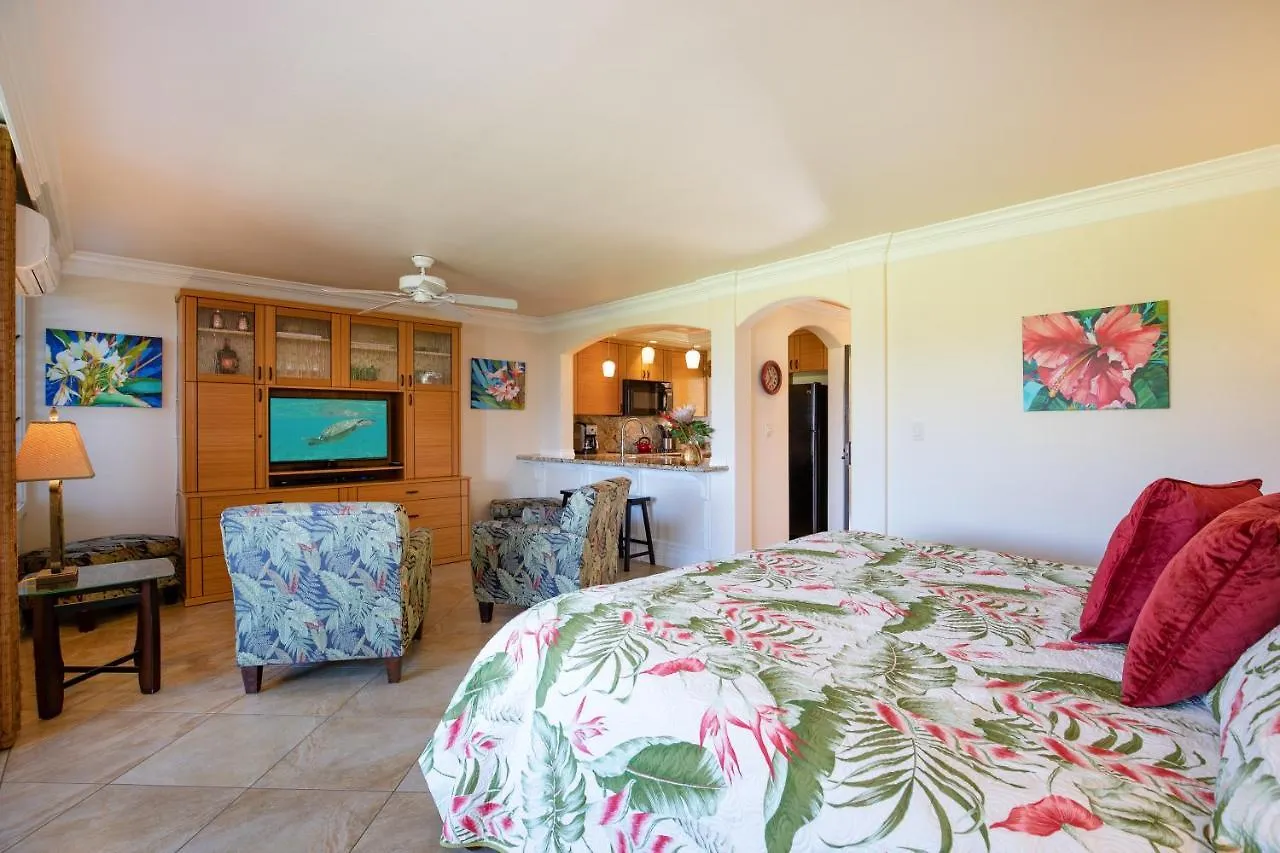 Beach Front King Bed Ocean View Studio In Wailea Ekahi United States