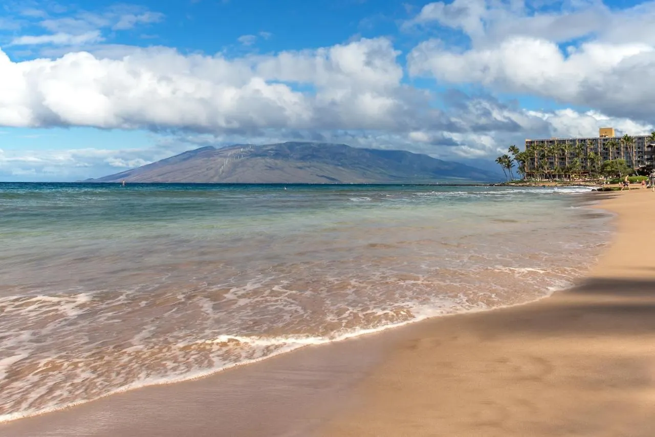 Apartment Beach Front King Bed Ocean View Studio In Wailea Ekahi