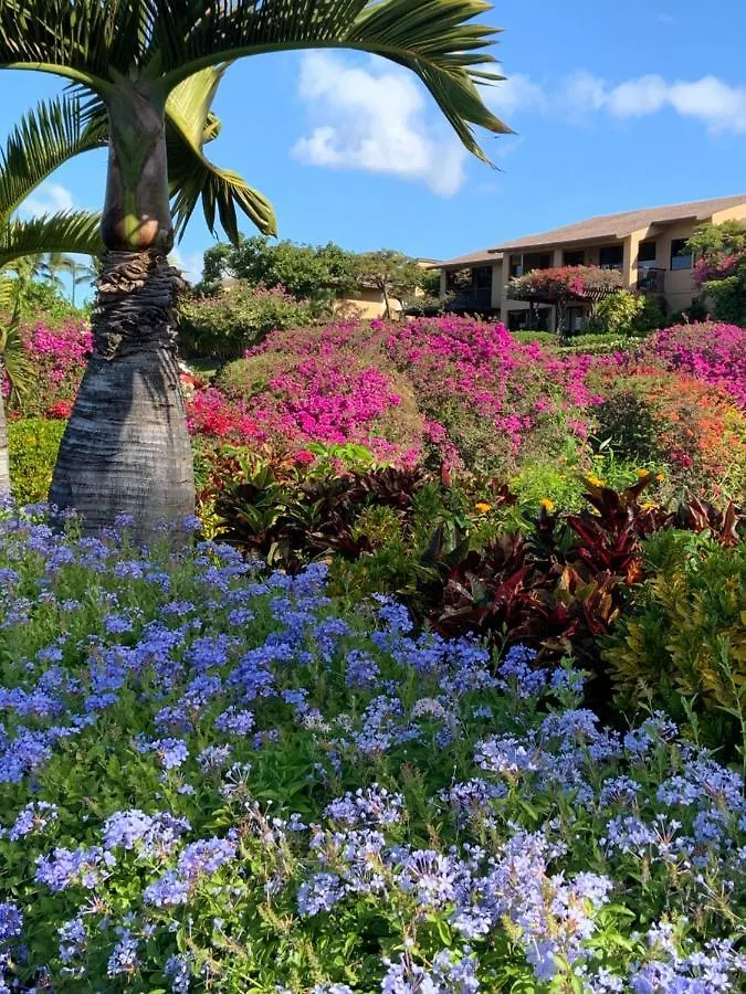 Beach Front King Bed Ocean View Studio In Wailea Ekahi 0*, Wailea (Maui) United States